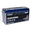 WEIZE 12V 230AH Bluetooth LiFePO4 Lithium Battery, Grade A Cells, 200A BMS, Low-Temp Protection Deep Cycle 600A/5S Peak Discharge Battery for Marine, Solar System, RV, Camping, Off Grid