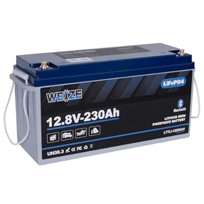 WEIZE 12V 230AH Bluetooth LiFePO4 Lithium Battery, Grade A Cells, 200A BMS, Low-Temp Protection Deep Cycle 600A/5S Peak Discharge Battery for Marine, Solar System, RV, Camping, Off Grid