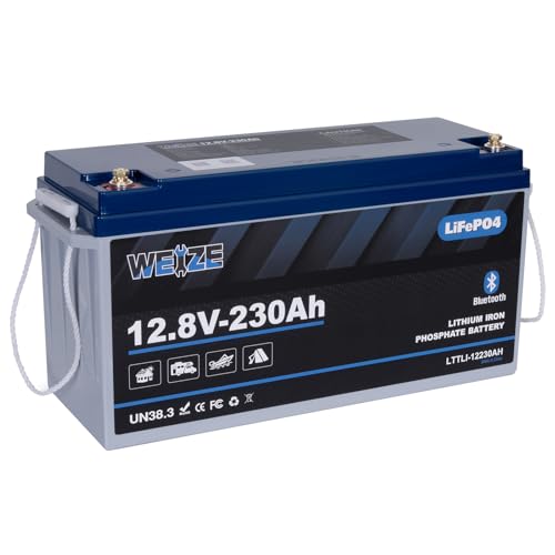 WEIZE 12V 230AH Bluetooth LiFePO4 Lithium Battery, Grade A Cells, 200A BMS, Low-Temp Protection Deep Cycle 600A/5S Peak Discharge Battery for Marine, Solar System, RV, Camping, Off Grid