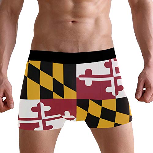 ZZKKO Bee Rooster Dragon Mens Boxer Briefs Underwear Breathable Stretch Boxer Trunk with Pouch S-XXL3