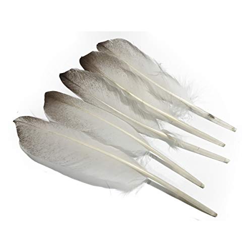 Lampu Nature 7-9Inch Duck Wing Feathers For Arts And Crafts, White/Grey Per Pack Of 10 #TOP2