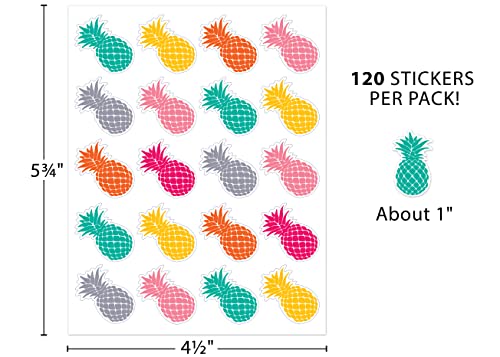 Teacher Created Resources - Tropical Punch