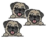 Mini Pug Dog Embroidered Patch Cartoon Appliques Fabric Clothing Jackets Jeans Sweatshirts Hats Bags Backpack (3 PCS.)