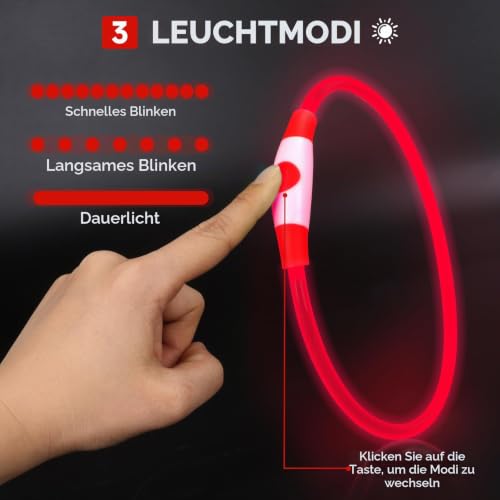 CoCoDonut LED Leuchthalsband Hund, USB aufladbar, Sicherheit bei Nacht – Ansicht 2