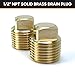 HAPDEN Boat Plugs 1/2 Inch Npt Solid Brass Boat Drain Plug, 2 Pack Garboard Drain Plug Boat Drain Plug Fits Most Boat Hulls (1/2 Inch NPT)