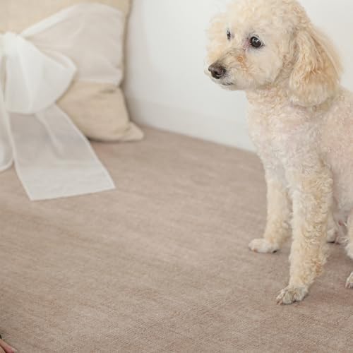 グラムスタイル カーペット ペット対応 江戸間6畳 261x352cm 敷き詰めカーペット 絨毯 カットできる 抗菌 防臭 カットパイル ベージュ - グラムスタイル - 商品画像