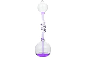 Office Thinking Hand Boiler Purple