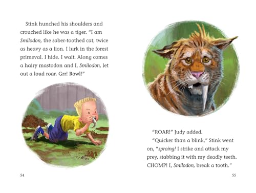 Judy Moody and Friends: Searching for Stinkodon: 11