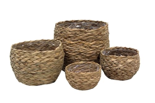 Pot rond d'eau de jacinthe naturelle S/4 (27 x 27 x 24/24 x 24 x 19/20 x 20 x 15/15 x 10)