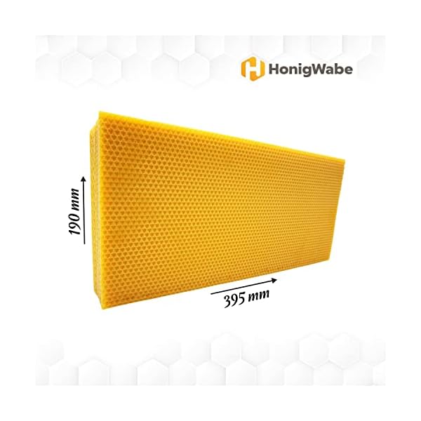 100% reines Bienenwachs, 1 kg | 14 x Zander Mittelwände, Bienenwachsplatten | Zertifiziert | Seuchenfrei, unverfälscht… – Bild 4