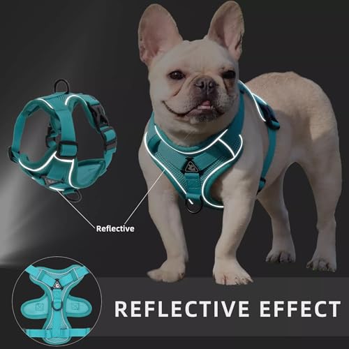 Air-Mesh Atmungsaktiv Brustgeschirr, Hundegeschirr mit Leine, Weich Einstellbar Reflektierend Anti Zug Hundegeschirr, Verstellbare Welpengeschirr für mittelgroße Kleine Grosse Hunde (XL)