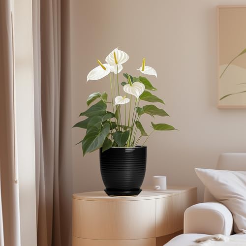 EPFamily 6 Inch Plant Pot - Ceramic Planters for Indoor Outdoor Plants, Modern Flower Pots with Drainage Hole and Saucer, Round Ceramic Planter, Office Room Decor, Gifts for Plant Lovers, Matte Black by EPFamily - Used condition - Image 8