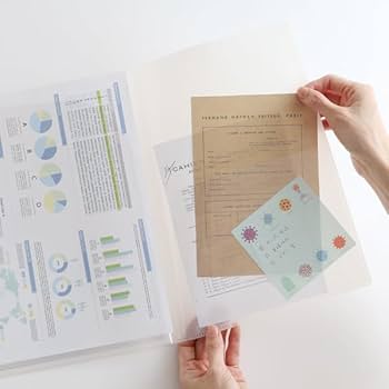 Amazon.co.jp: グリーンフラッシュ(Green Flash) ファイル STUDY