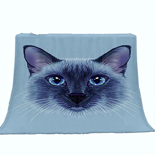 Couverture microfibre douce chaton 150x200cm plaid lit et jeté de canapé gris