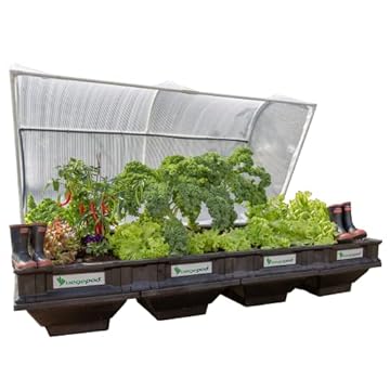 self watering garden beds