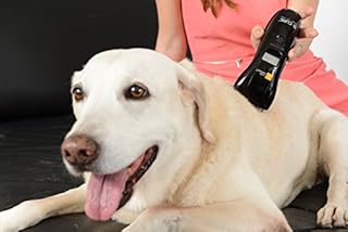 B-cure Laser Vet Device for Pets: A Home Laser Therapy, Accelerates Healing and Reduces Pain and Inflammation in Dogs, Cats, Horses and Other Animals