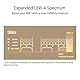 ASUS ZenWiFi XT9 AX7800 2er Set Schwarz kombinierbarer Router (Tethering als 4G und 5G Router-Ersatz, Whole-Home Tri-Band AI Mesh WiFi 6 Router System, 2.5G Port, Abdeckung von bis zu 530qm)