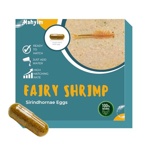 MAHYIM Two Capsule Fairy Shrimp Eggs Alive Fresh for Killifish/Fish
