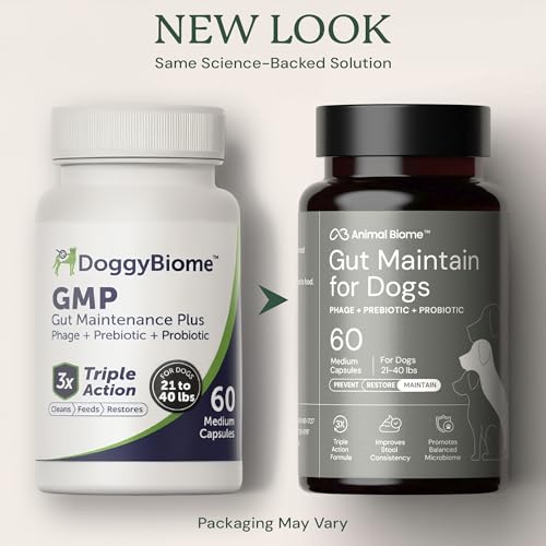 Image of Animal Biome Small Dog Pre and Probiotics, S Boulardii, Gut Maintain, 60 Ct | Triple-Action Dog Probiotics, Prebiotics & Phage S Boulardii Pet Supplements for Gut Health, Diarrhea Support, Food Topper