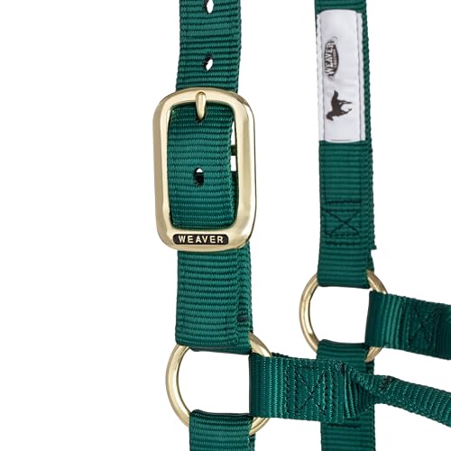 Weaver Leather Original Non-Adjustable Nylon Horse Halter, Hunter Green, Yearling by Weaver Equine - Image 5