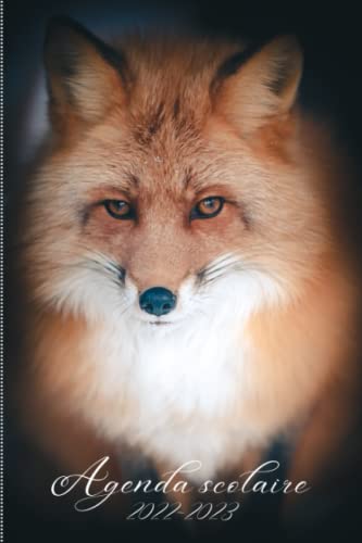 AGENDA SCOLAIRE 2022-2023 RENARD : Agenda Pour Toute l'année scolaire | Organisateur Journalier | Idéal pour étudiant (école primaire, collège, ... de 207 Pages | Format Pratique 6x9 Pouces