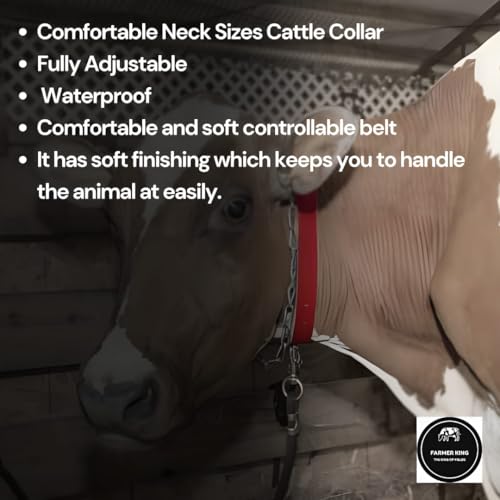 Image of Farmer King Cow /Buffalo /Bull /Horse Solid Nylon Neck Belt, Rock Strong Collar, 1 Meter Adjustable Belt with Nickle Coated Iron Ring & Hook | Skin Friendly | Masterpeice (Black Color)