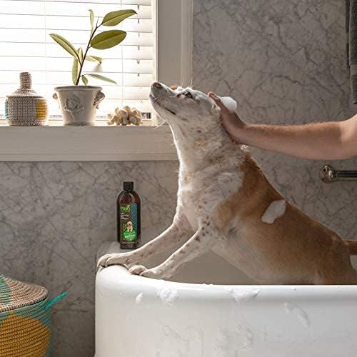 Fresh Wave Natural Dog Shampoo & Odor Eliminator, 16 fl. oz.