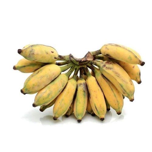 Fresh Banana Hill, 500 g Amazon.in Grocery & Gourmet Foods