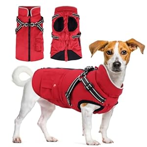 Dog Winter Coat with Harness | Jacket Waterproof with Zipper and Fleece | Warm Dog Coat with Reflective for Small Medium Dogs（Red）