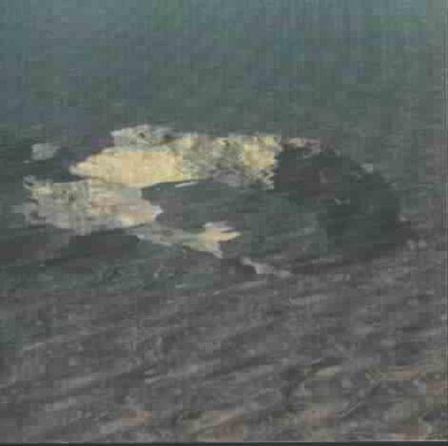 Suspension And Discplacement