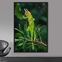 Framed Canvas Wall Art Reptile Contemporary Dramatic Hallway Iguana Multicolor Photography Reptiles - 16x24 inches