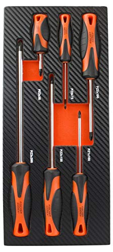 Fischer Darex 810917 Module de rangement comprenant 6 tournevis, Noir