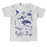 Women Y2K Aesthetic Graphic Baby Tees Short Sleeve Floral Crop Tops Teen Girls Summer Vintage White...