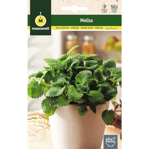 Mascarell Semillas, MELISA, Semillas de Hierbas Aromáticas para Plantar, Crea tu Propio Huerto en Casa, 1 Gramos