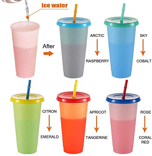 Color Changing Cups, 24oz 5 Reusable Cold Drink Cups with Lids and Straws Summer Coffee Tumblers Party Cup for Adults