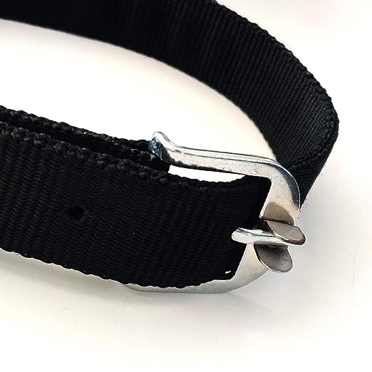Image of Passion 1 Inch Black Dog Collar