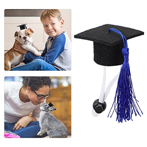 Gorro de graduación azul para perro y gato miniatura 7