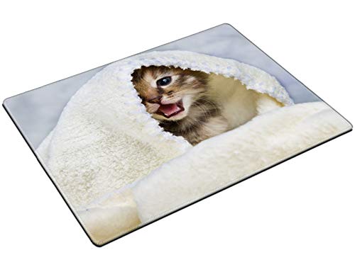 MSD Placemat Non Slip Natural Rubber Heat Resistance Table Mat Designed for 19659083