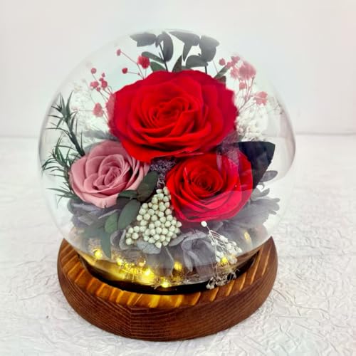 Rosa preservada púrpura con cúpula de vidrio y luz LED