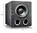 SVS PB-2000 Pro 12 Inch Ported Subwoofer with SoundPath Wireless Audio Adapter (Premium Black Ash)