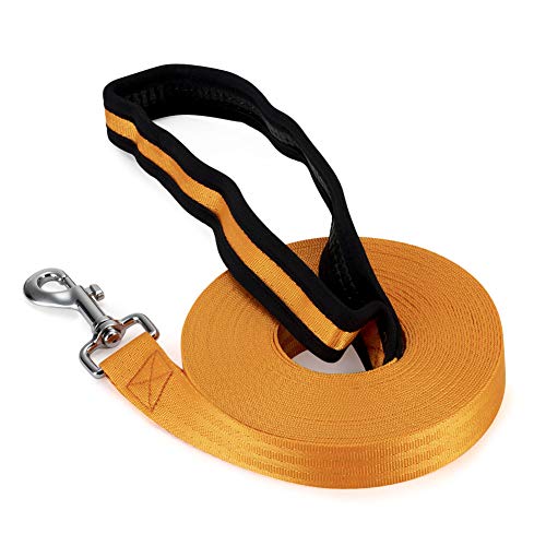 Vivifying Dog Training Lead Leash, 10m/32ft Long Nylon Training...