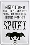 WOGEKA ART Retro Blechschild Mein Hund darf in Meinem Bett schlafen witziger Spruch als Geschenk-Idee zum Geburtstag Weihnachten zur Dekoration 20x30 cm Vintage-Design aus Metall 39