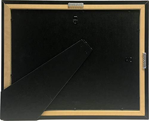 Creative Picture Frames Stainless Steel Finish Document Frame Displays 8.5" By 11" With Mat Or 11" By 14" Without Mat Includes Stand & Wall Hanger #TOP7