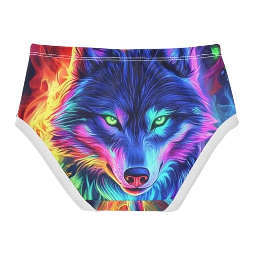 Colorful Flame Wolf Toddler Girls's Underwear 2T 202c02882