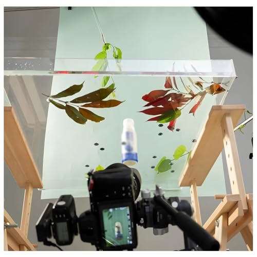 Réservoir d'eau de studio photo pour immortaliser les cosmétiques