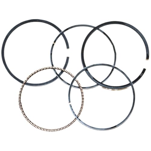 Jeu de Segments Piston 76mm de Remplacement Pompe G300