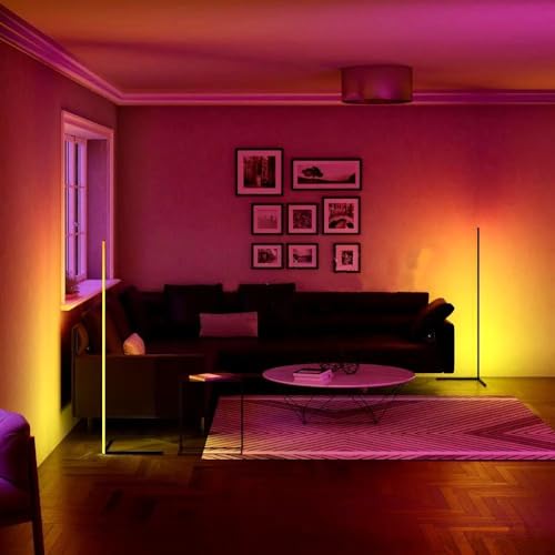 The Artment your artistic apartment Modern Art Zenith LED Corner Floor Lamp for Living Room, Bedroom, Dining Room, Entryway, Bathroom (Black, 2) (B0D6RWW5SN) Amazon Price History, Amazon Price Tracker