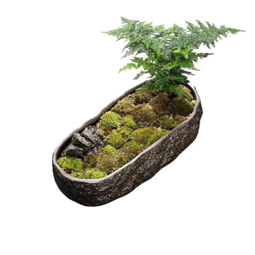 BtcFu金魚鉢 金魚 メダカ 鉢 メダカ鉢 睡蓮鉢 水耕植木鉢 亀 水槽 スの葉ロータス銅コイングラスグリーンカタツムリガーデン大型植木鉢 睡蓮鉢 ぎせき ベランダリビング (穴なし) (ブラック【穴33×16×7cm)