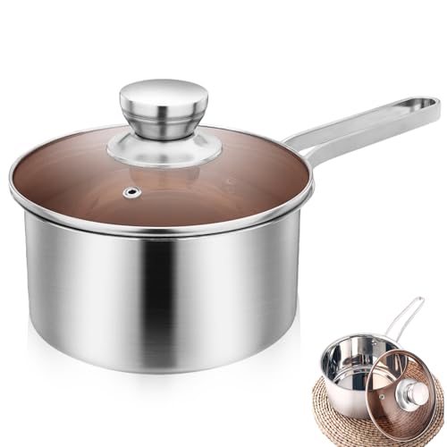 GOEDCH Casseruola 16 cm: Casseruola per latte in acciaio inossidabile con coperchio in vetro, pentola a induzione con manico lungo per cucina/ristorante, piccole porzioni lavabili in lavastoviglie