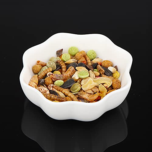 Dqitj 2 Pcs Ceramic Hamster Bowl, Small Animal Anti-Turnover Food Bowl And Water Dish Feeder For Dwarf Hamster Mouse Chinchilla Rat Gerbil thumb #3